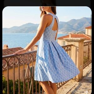 Banana Republic floral Woman Dress in Blue and White size 6